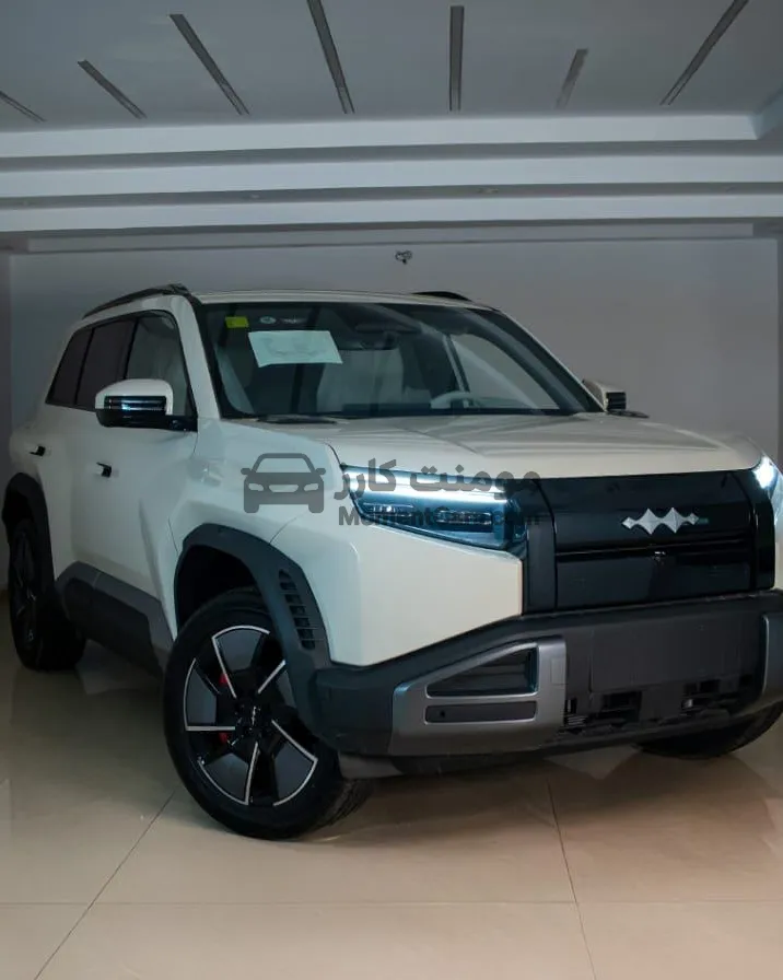 بي واي دي L3 2025 كهرباء زيرو - 501 كم