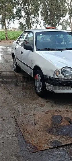 تويوتا كورولا 1999 عيون مانيوال للبيع