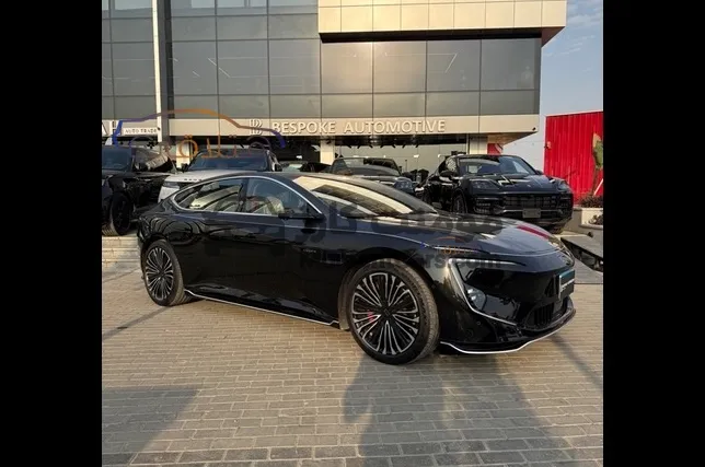 افاتار 12 كهربائية 2025 للبيع