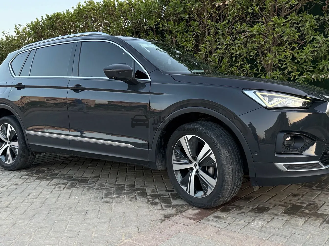 سيات تاراكو 2023 اتوماتيك فئة Experience للبيع