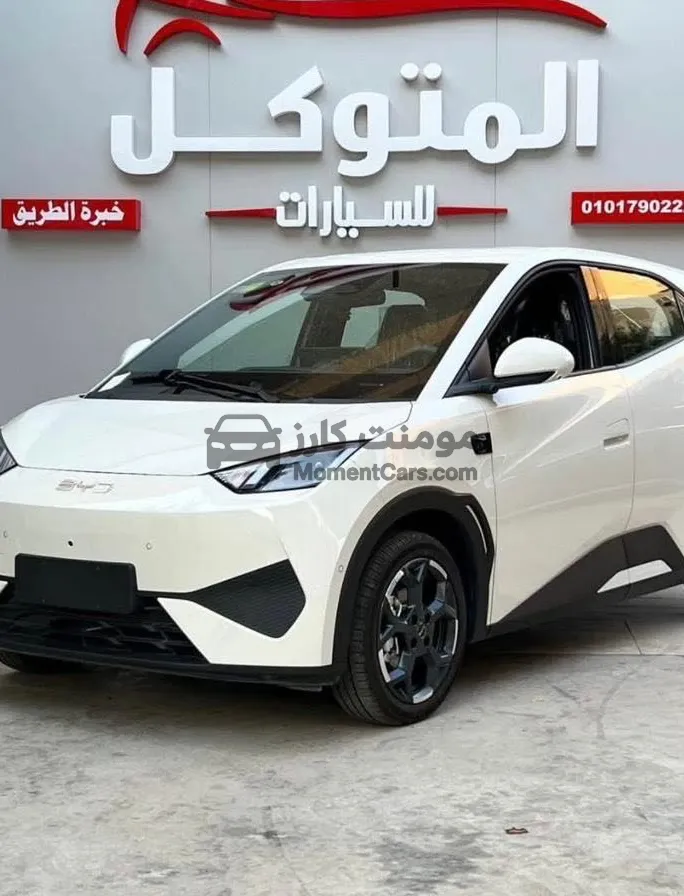 بي واي دي سيجال 2025 كهرباء زيرو