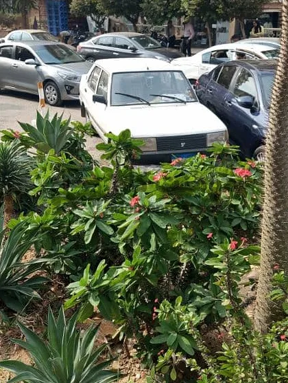 فيات شاهين 1996 سيدان 1300cc دواخل شركة