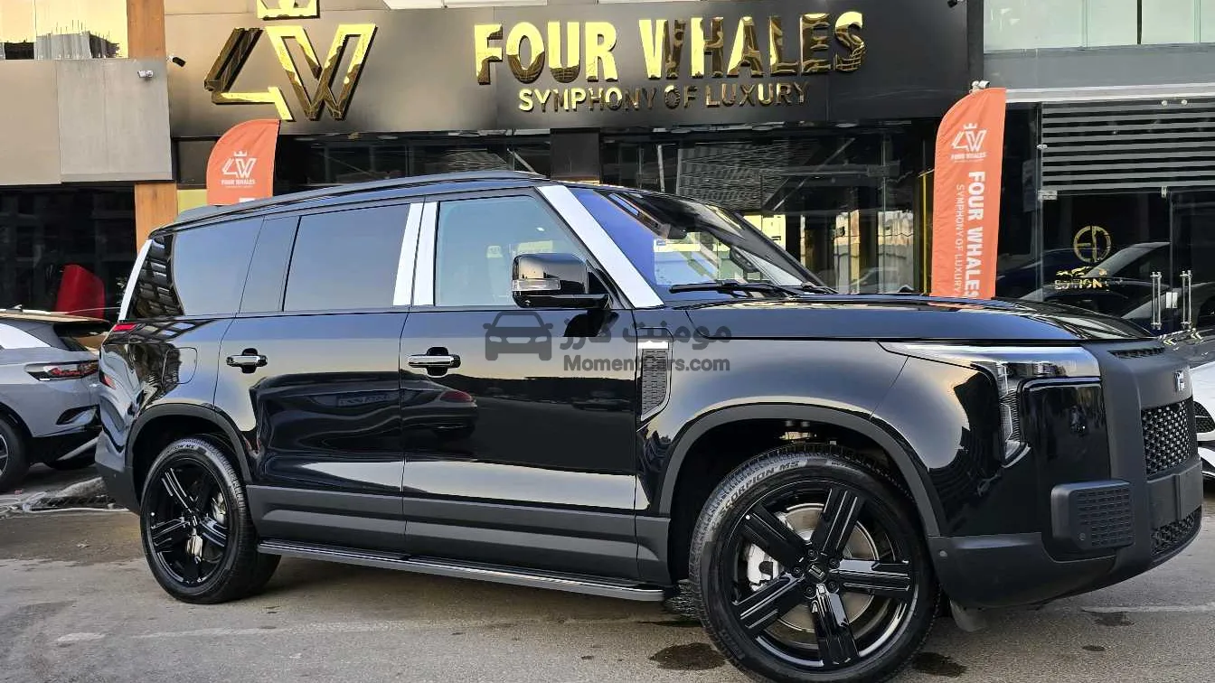 روكس 01 موديل 2025 SUV هايبرد 7 راكب