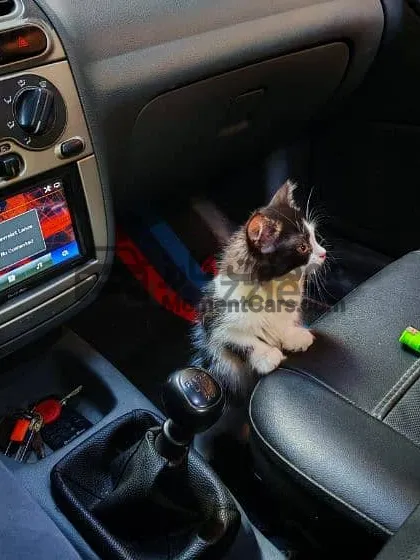 لانوس 2013 مانيوال فابريكة بالكامل للبيع