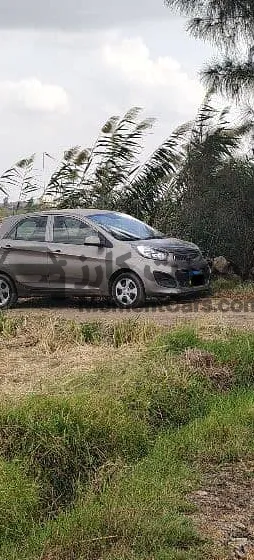 كيا بيكانتو 2014 اتوماتيك فئة أولى للبيع