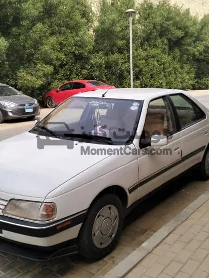 بيجو 405 موديل 1994 فبريكة بره وجوه - فرش جلد