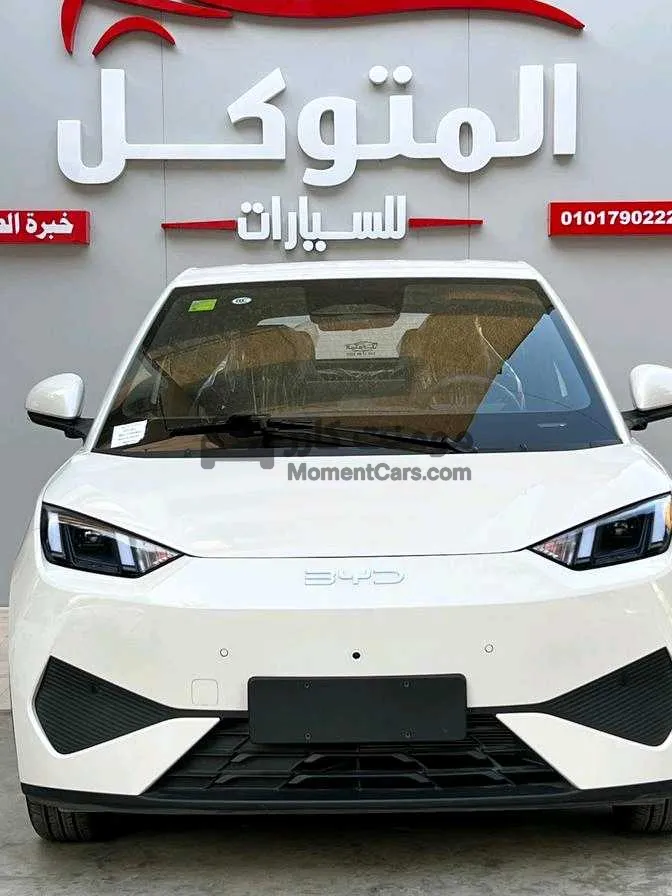 بي واي دي سيجال 2025 كهرباء أعلى فئة