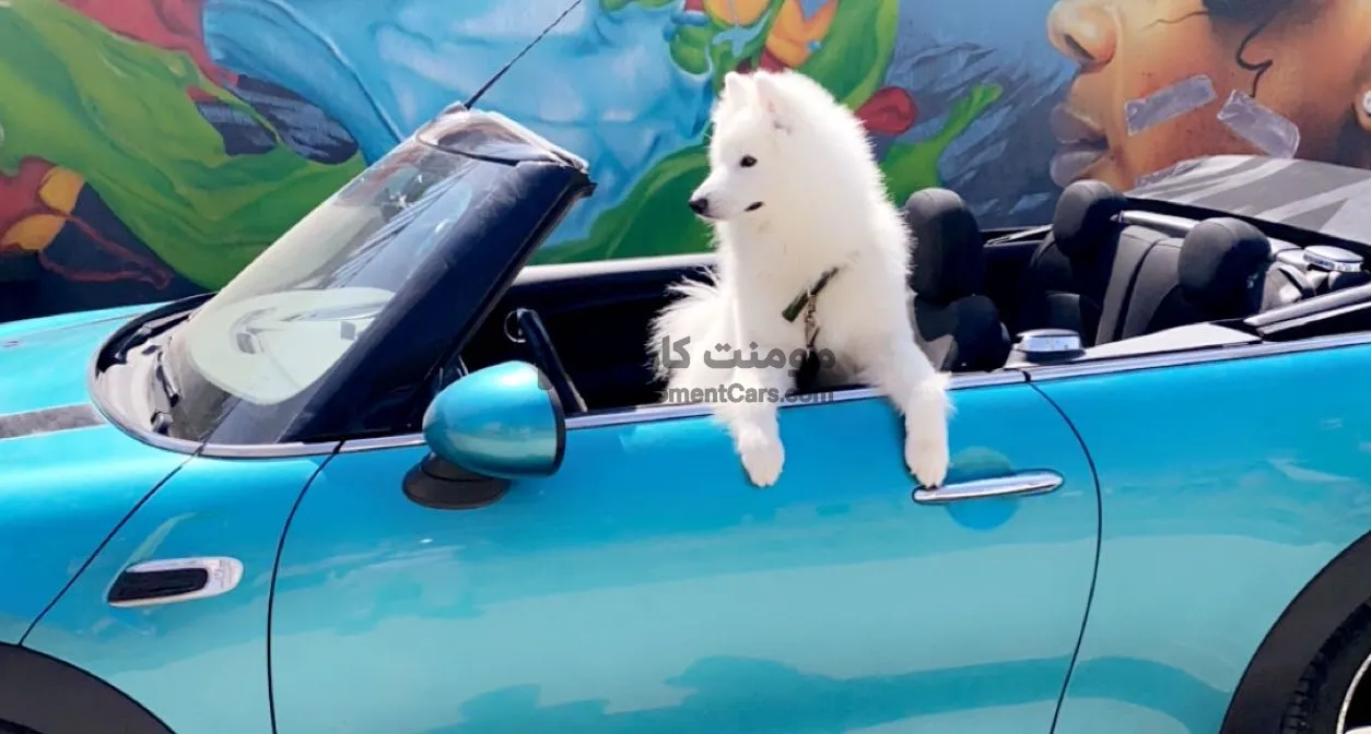 ميني كابريو 2016 اتوماتيك حالة ممتازة للبيع