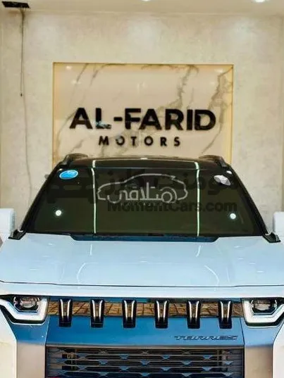 سانج يونج توريس 2023 أعلى فئة كسر زيرو للبيع