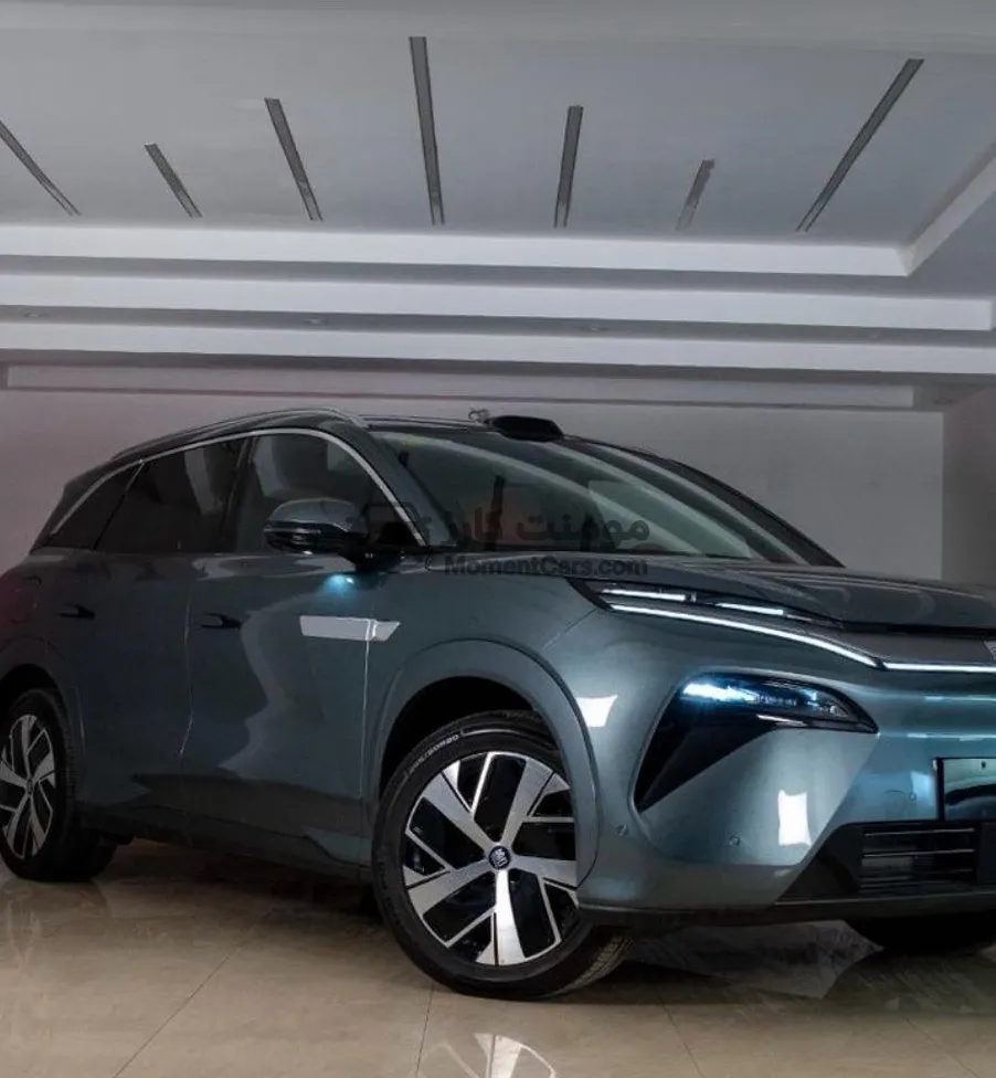 بي واي دي تانج L فلاجشيب 2025 كهرباء 7 راكب