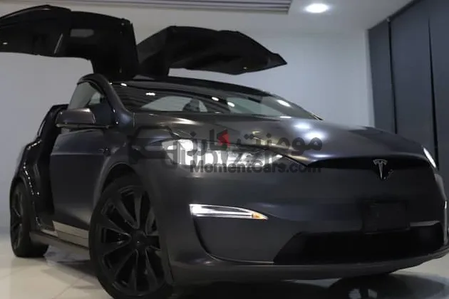 تيسلا موديل إكس 2023 عداد 30 ألف كم