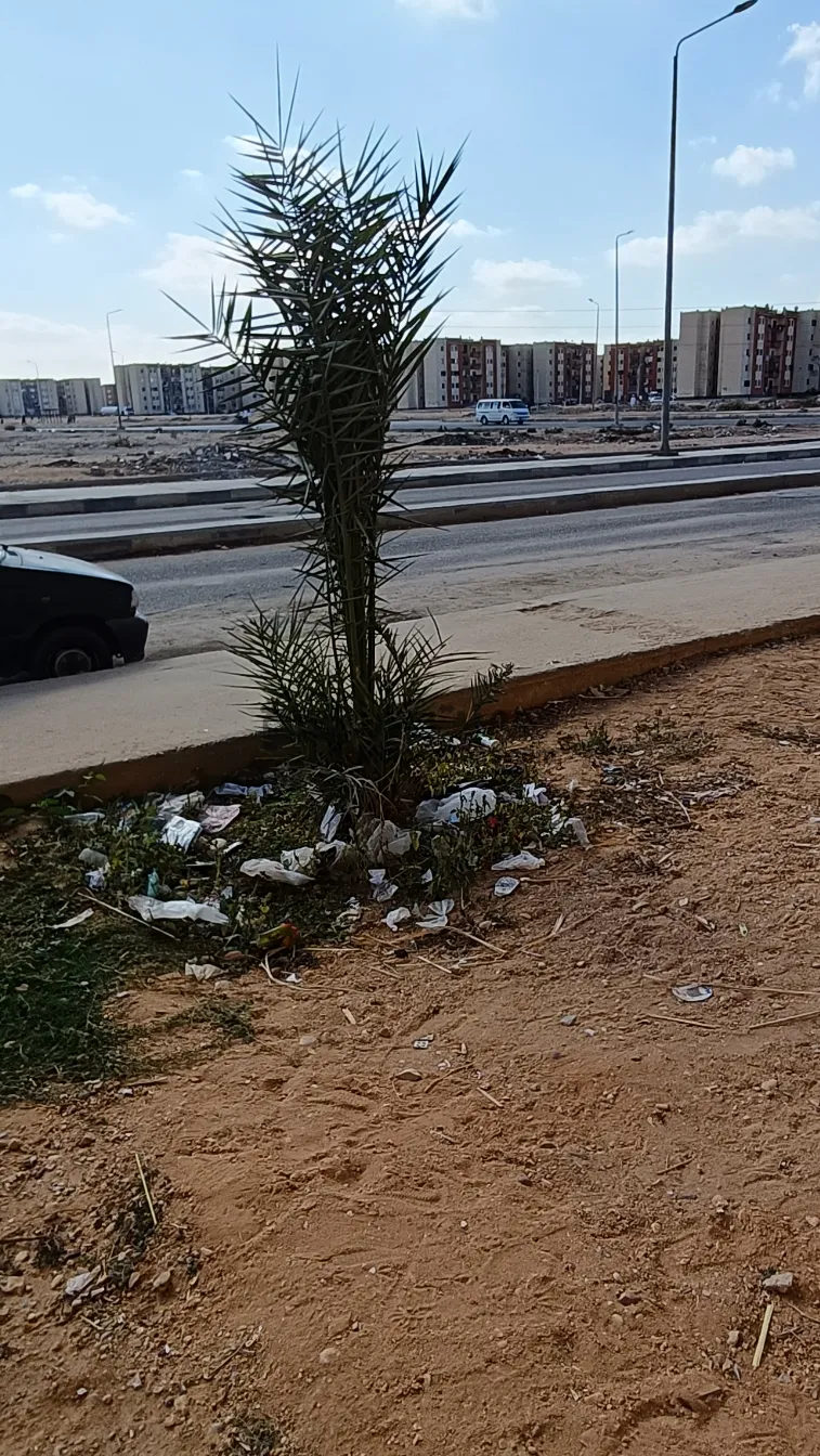 سوزوكي ماروتي 1999 مانيوال حالة كويسة للبيع