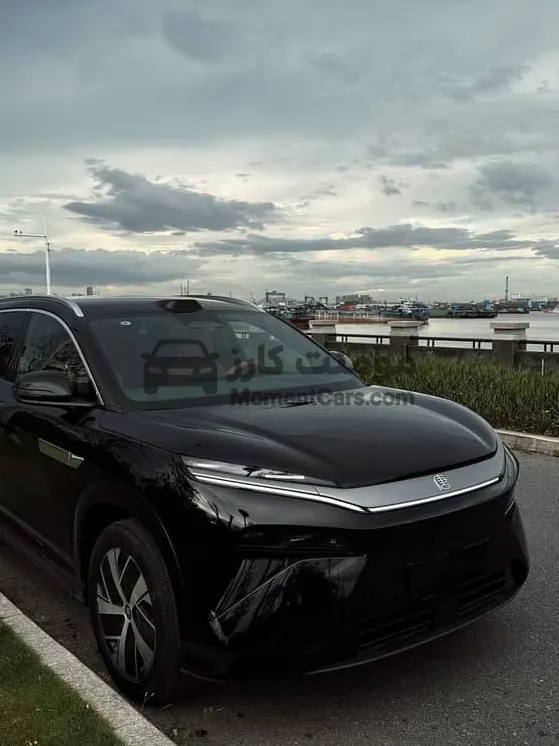 BYD Tang L 2025 كهرباء 7 راكب Flagship للبيع