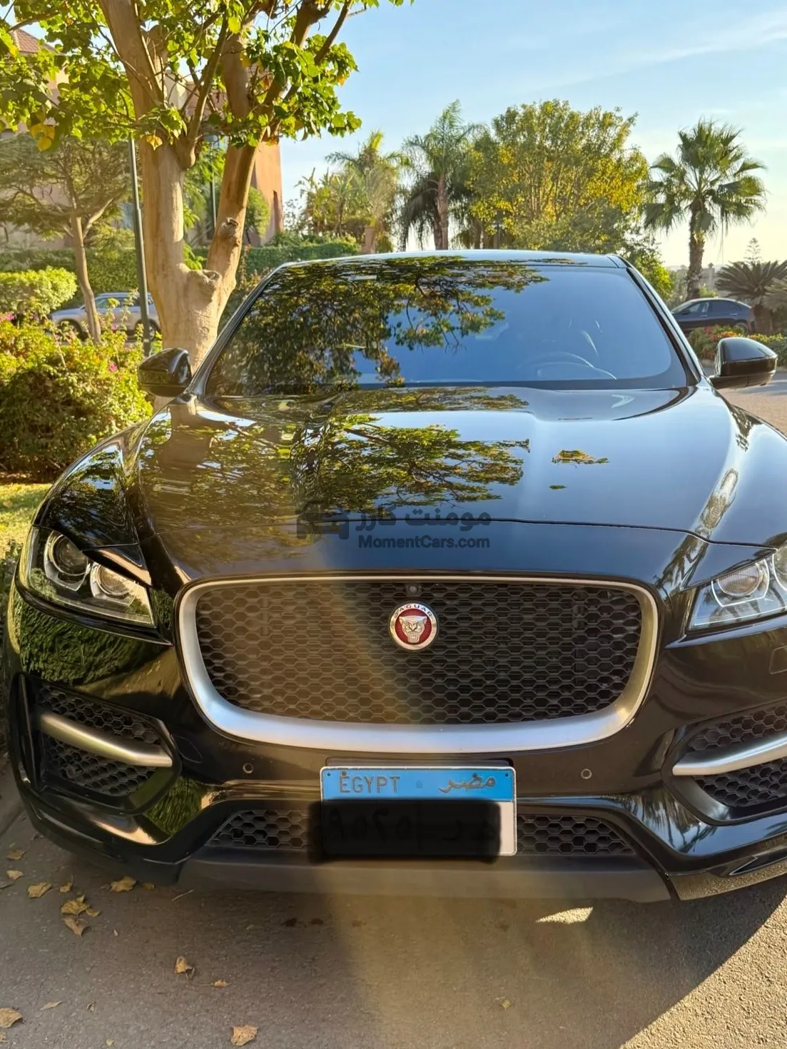 جاكوار F-PACE 2018 كاملة (HUD/كاميرا 360) للبيع