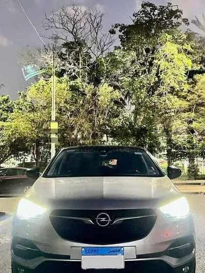 أوبل جراند لاند 2018 أعلى فئة فرش جلد للبيع