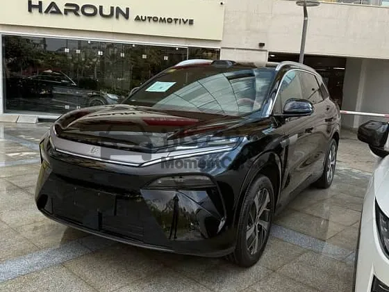 بي واي دي تانج ال 2025 كهرباء جديدة - أعلى فئة