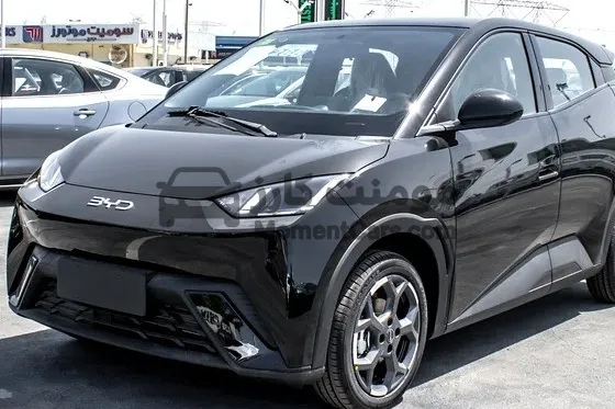 بي واي دي سيجال 2025 كهرباء جديدة - استيراد