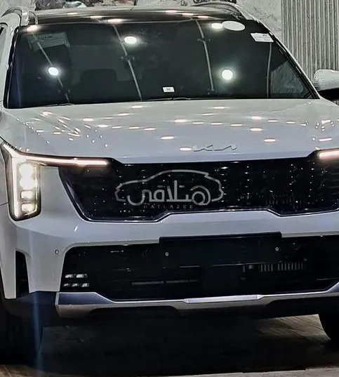 ألفا روميو ستلفيو 2024 فلوتشي 8000 كم