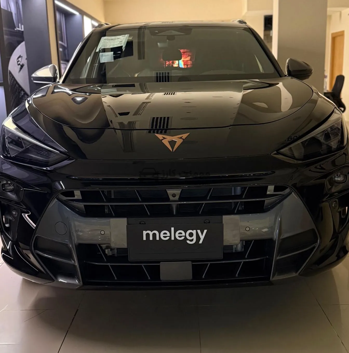 كوبرا تيرامار 2025 جديدة SUV 1.4T