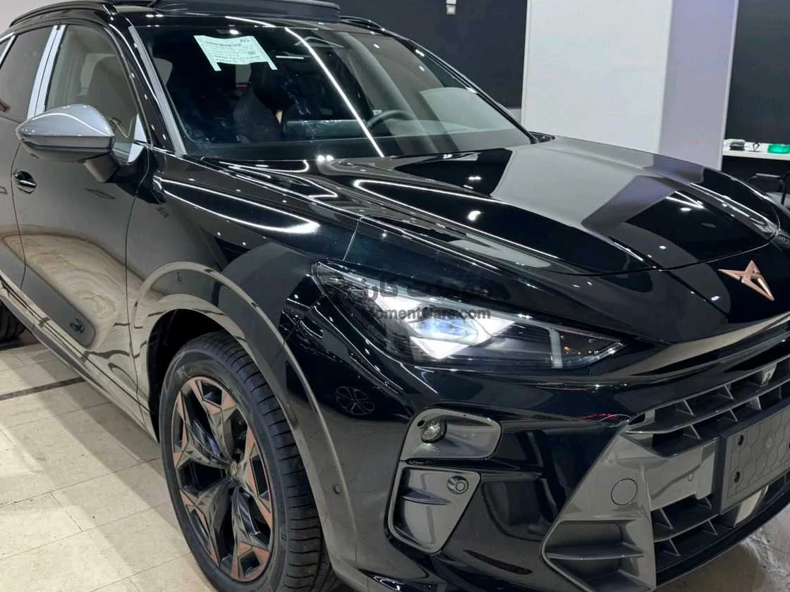 كوبرا تيرامار 2025 اتوماتيك SUV جديدة للبيع