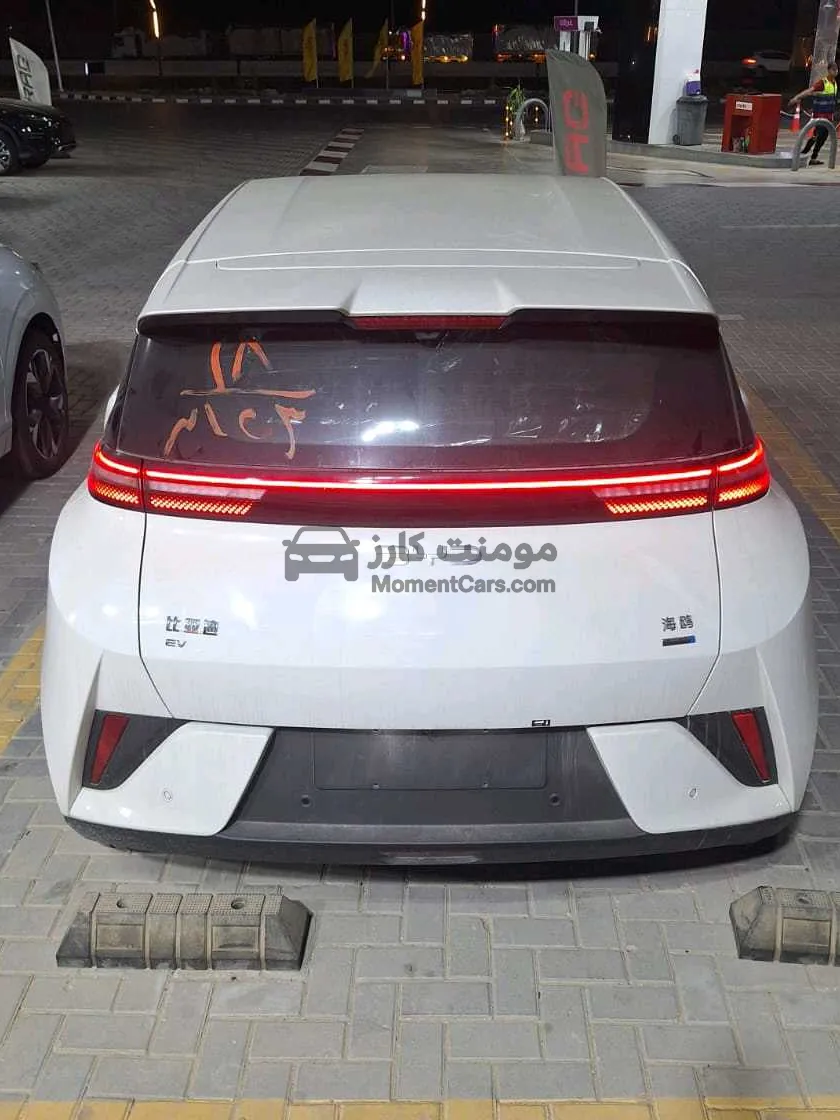 بي واي دي سيجال 2025 كهرباء جديدة للبيع