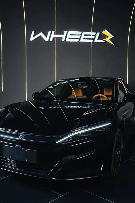 بي واي دي هان L DM-i 2025 جديدة للبيع