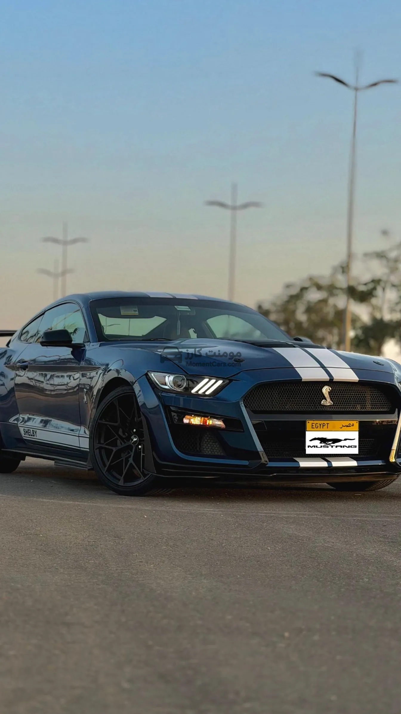 فورد موستانج 2015 كوبيه تعديل Shelby للبيع