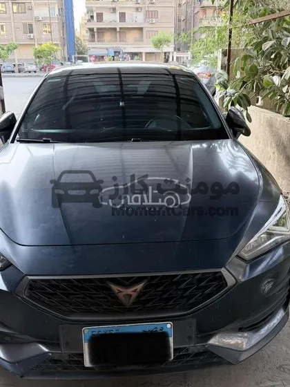 كوبرا ليون 2024 للبيع