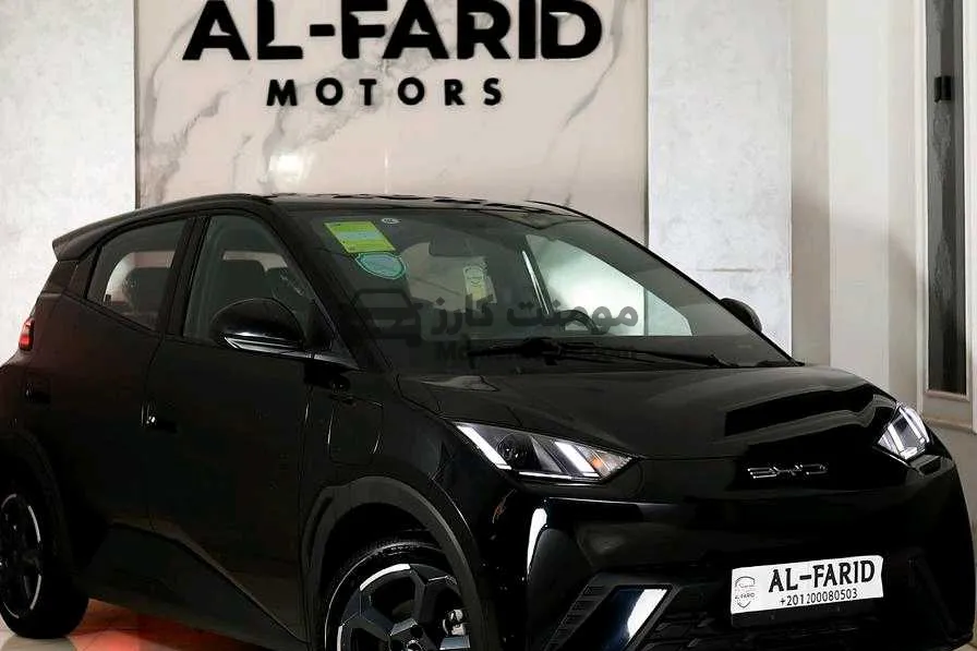 بي واي دي سيجال 2024 كهرباء زيرو للبيع