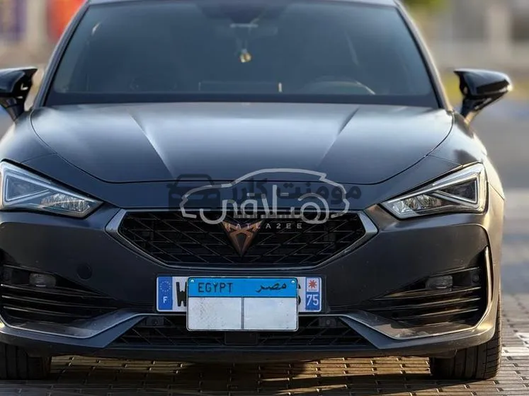 كوبرا ليون 2024 توب لاين للبيع
