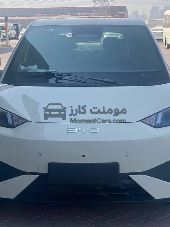 بي واي دي سيجال 2025 Smart Drive جديدة كهرباء للبيع