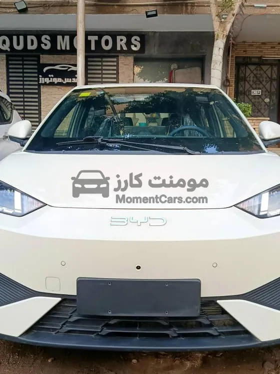 بي واي دي سيجال 2025 Smart Driving جديدة للبيع