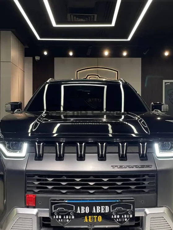 سانج يونج توريس 2023 أعلى فئة كوري 31 ألف كم