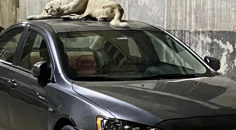 لانسر شارك 2017 فئة تانية اتوماتيك