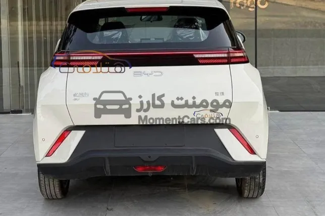 بى واى دى سيجال 2025 كهرباء كسر زيرو